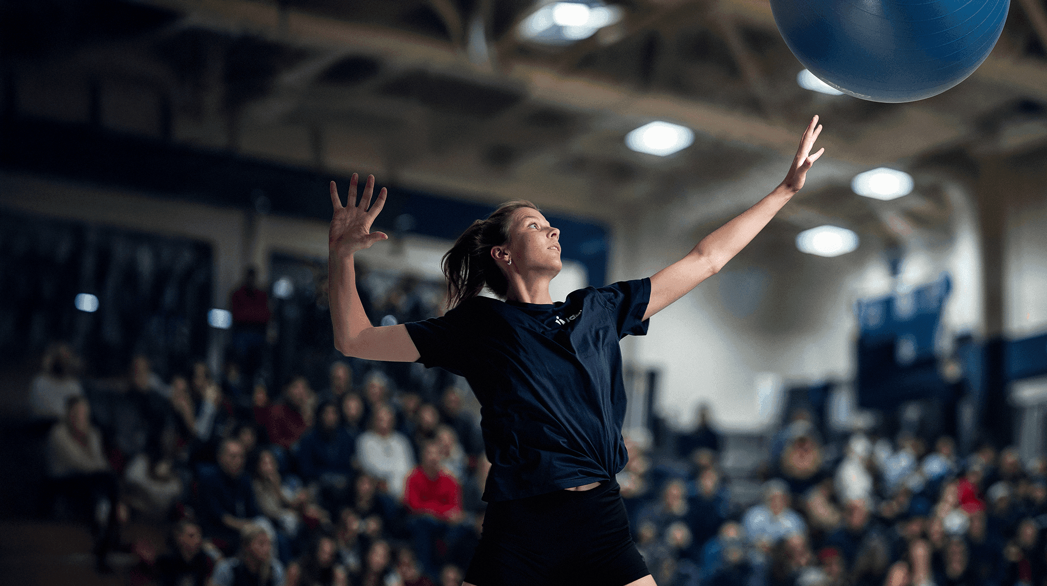 volleybal_header_right.png